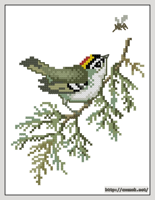 Download embroidery patterns by cross-stitch  - Golden-crowned kinglet