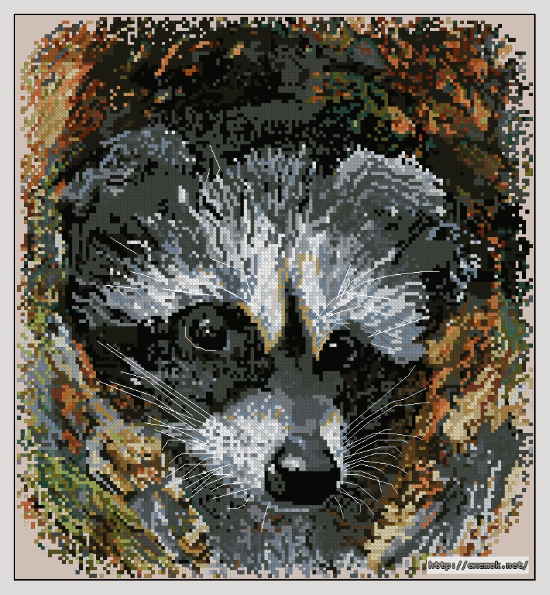 Download embroidery patterns by cross-stitch  - Raccoon, author 