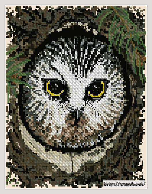 Завантажити схеми вишивки нитками / хрестом  - Peep owl, автор 