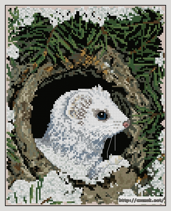 Download embroidery patterns by cross-stitch  - Ermine, author 