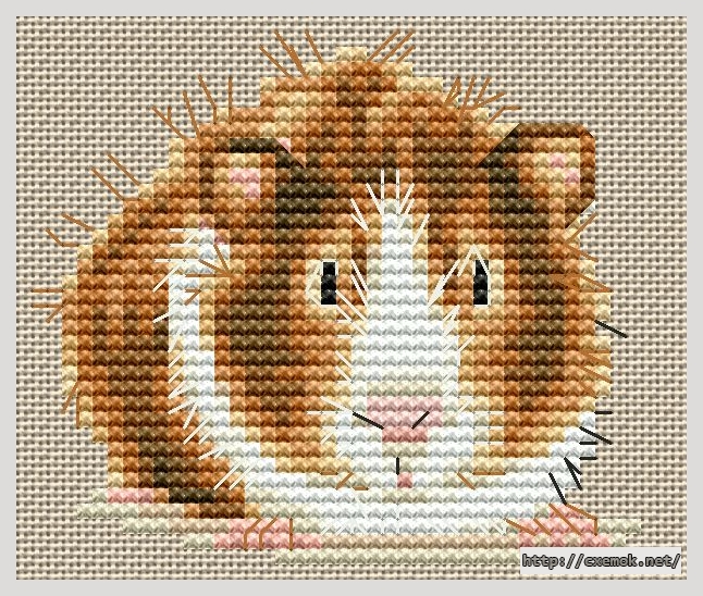Download embroidery patterns by cross-stitch  - Guinea pig