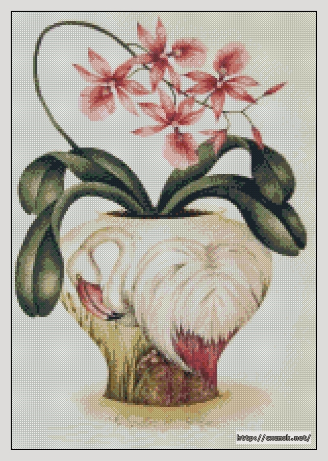 Скачать схему вышивки нитками Орхидеи Фламинго, автор 