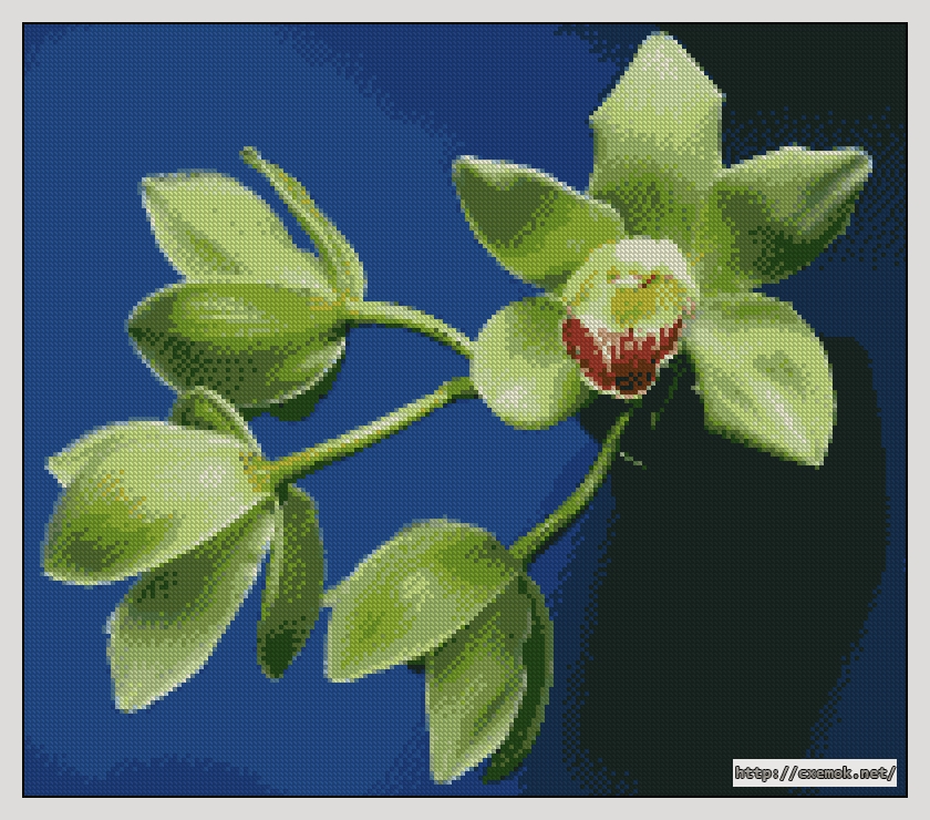 Скачать схему вышивки нитками Зелёная орхидея, автор 