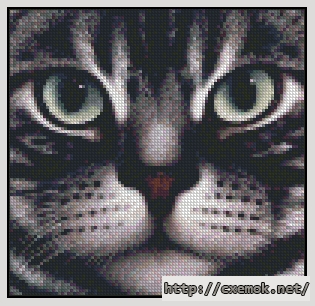 Download embroidery patterns by cross-stitch  - American shorthair