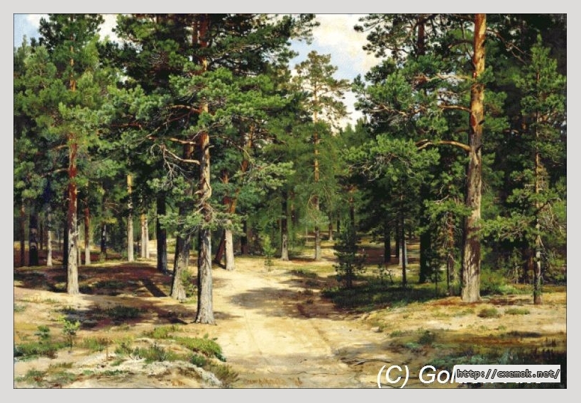 Download embroidery patterns by cross-stitch  - Sestroretsk pine forest (ivan shishkin), author 