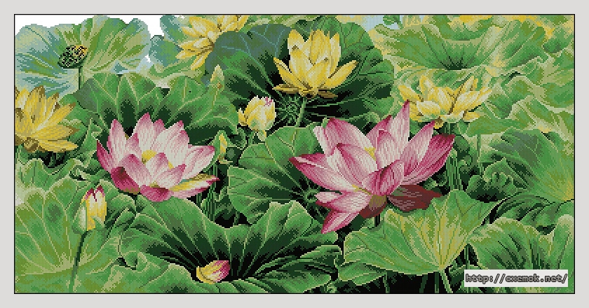 Скачать схемы вышивки нитками / крестом  - A feast of lotus flowers, автор 