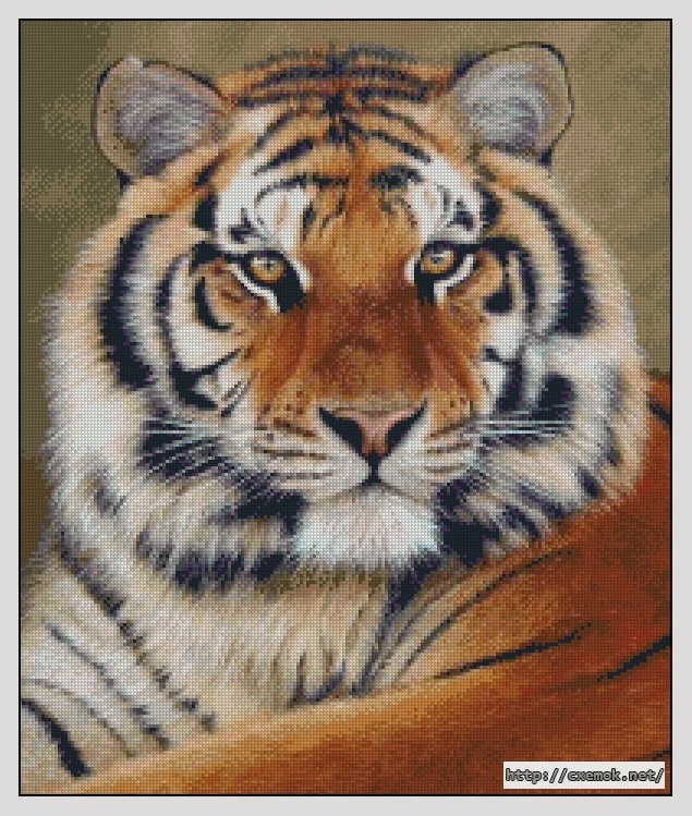 Скачать схемы вышивки нитками / крестом  - Красавец тигр, автор 