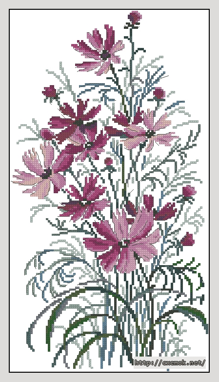 Download embroidery patterns by cross-stitch  - Космеи, author 