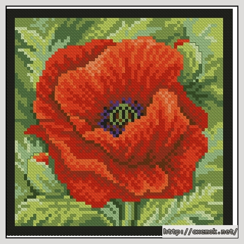 Download embroidery patterns by cross-stitch  - Poppy, author 