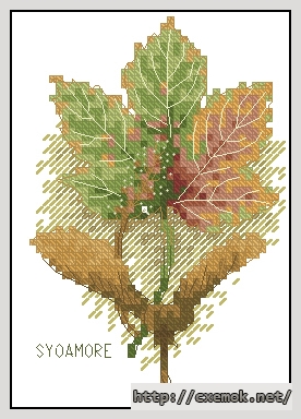 Download embroidery patterns by cross-stitch  - Sycamore, author 