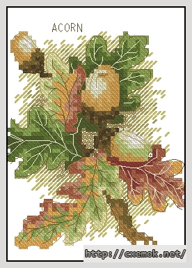 Download embroidery patterns by cross-stitch  - Acorn, author 
