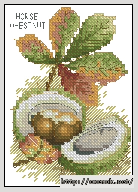Download embroidery patterns by cross-stitch  - Horse shestnut, author 