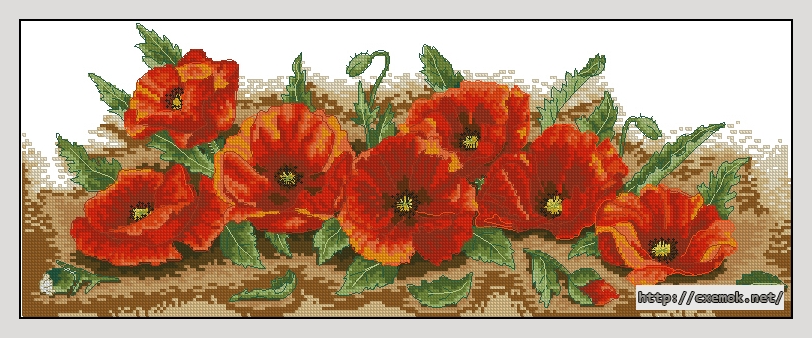 Download embroidery patterns by cross-stitch  - Spray of poppies, author 