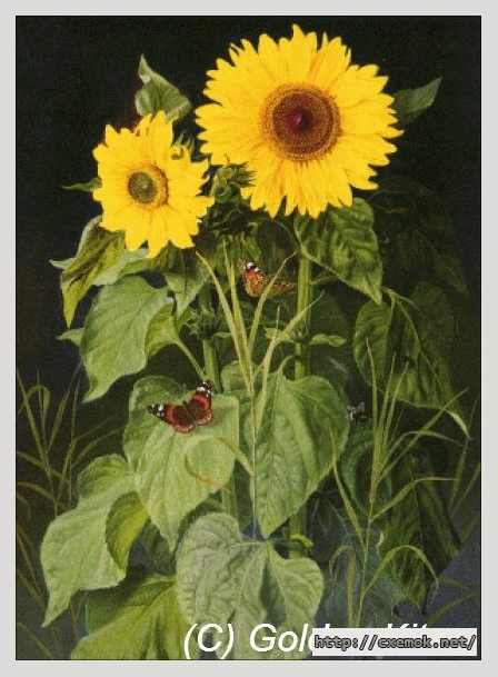 Скачать схемы вышивки нитками / крестом  - Sunflowers, автор 