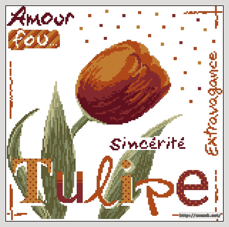 Download embroidery patterns by cross-stitch  - Tulipe, author 