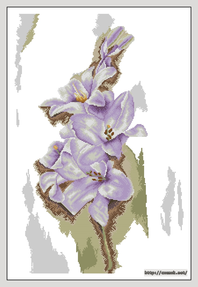 Скачать схему вышивки нитками Blue gladiolus, автор 