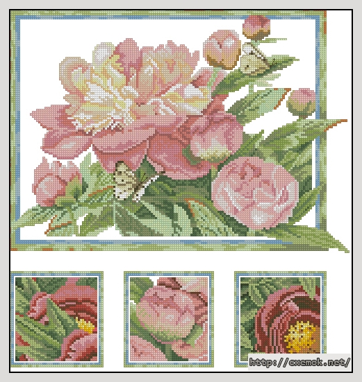 Download embroidery patterns by cross-stitch  - Pink peonies, author 