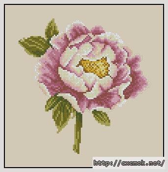 Download embroidery patterns by cross-stitch  - Pink and white peony, author 