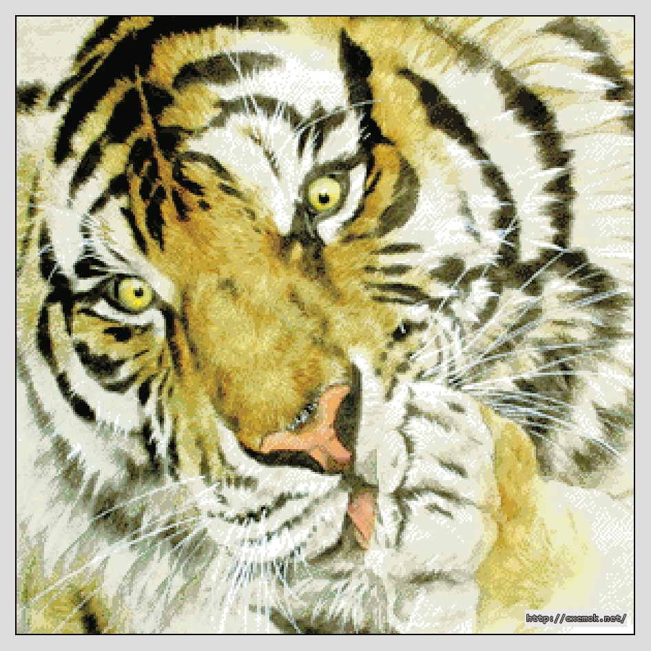 Download embroidery patterns by cross-stitch  - Tiger, author 