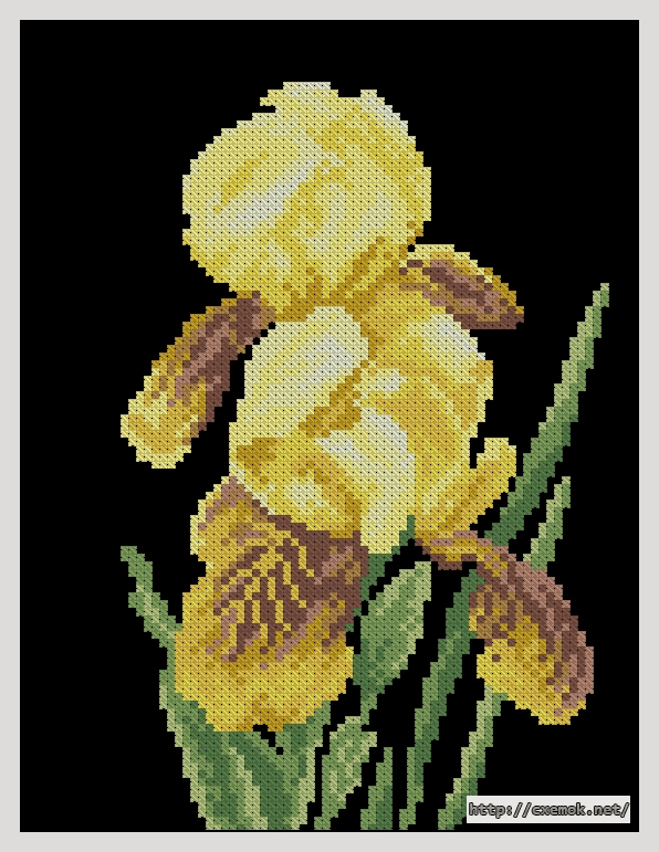Download embroidery patterns by cross-stitch  - Zolte irysy, author 