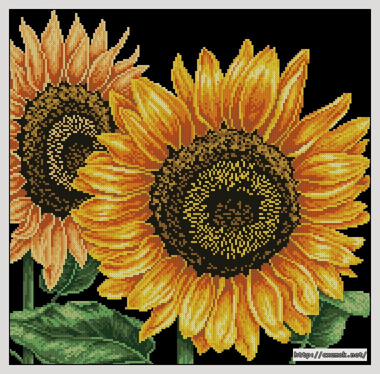 Скачать схемы вышивки нитками / крестом  - Sunflowers, автор 