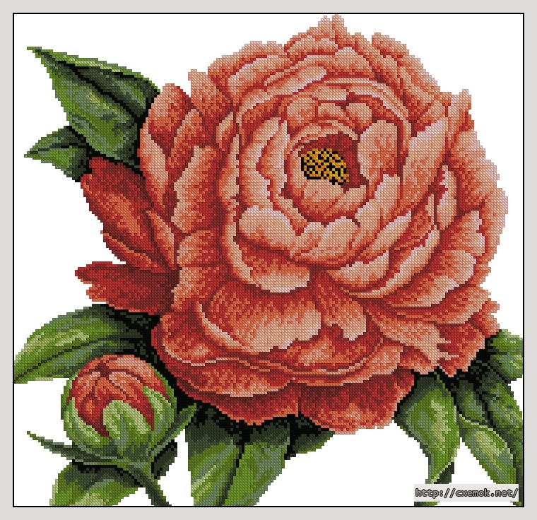 Download embroidery patterns by cross-stitch  - Peony, author 