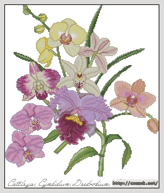 Скачать схему вышивки нитками Orchids, автор 