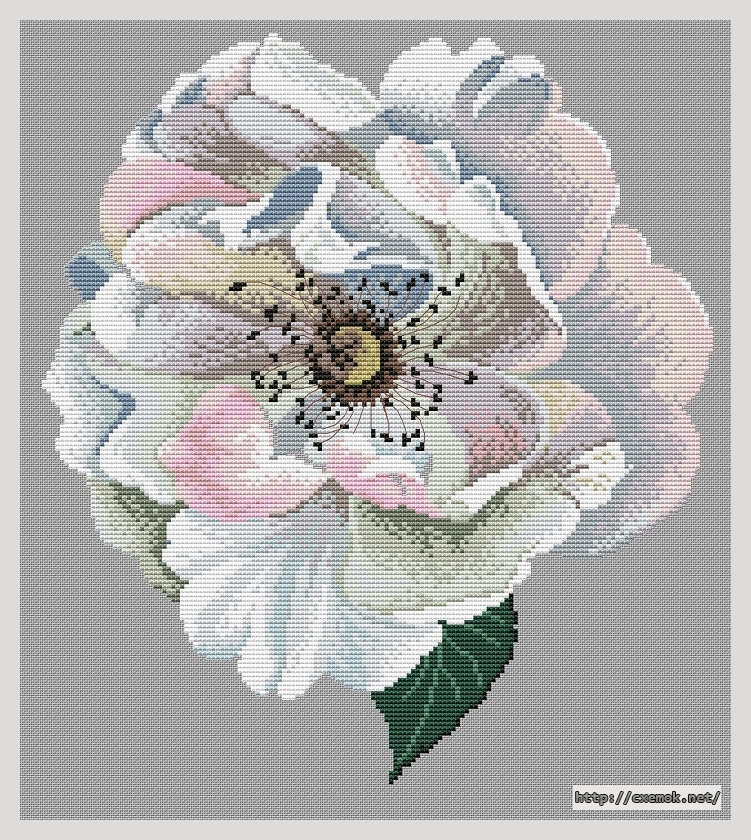 Download embroidery patterns by cross-stitch  - Vine rose, author 
