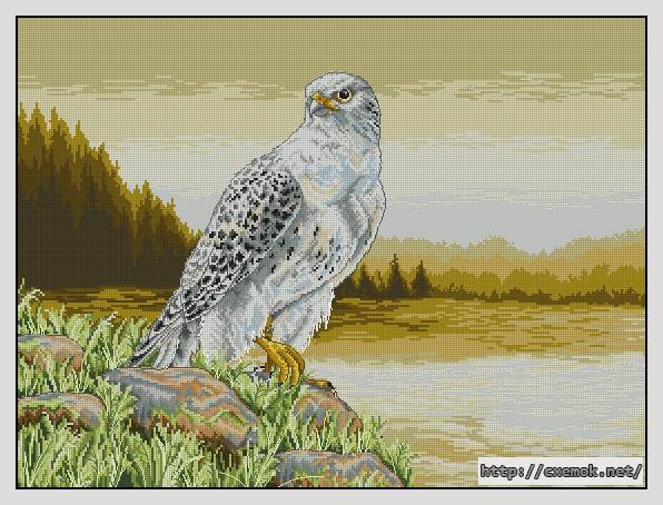 Download embroidery patterns by cross-stitch  - Gyre falcon, author 