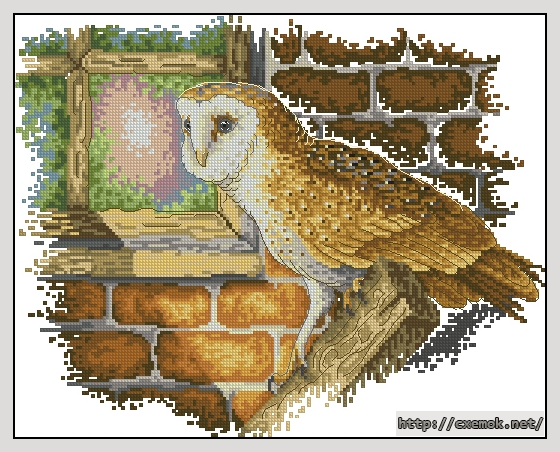 Скачать схему вышивки нитками Barn Owl, автор 