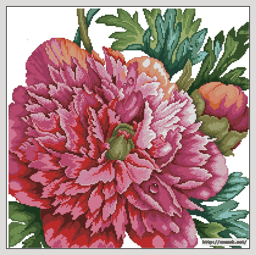 Download embroidery patterns by cross-stitch  - Peony pillow, author 