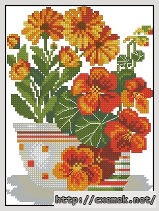 Download embroidery patterns by cross-stitch  - Настурции и ноготки, author 