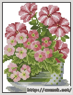 Download embroidery patterns by cross-stitch  - Петунии и примулы, author 
