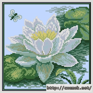 Download embroidery patterns by cross-stitch  - Кувшинка, author 