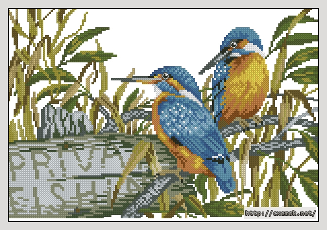 Download embroidery patterns by cross-stitch  - Kingfishers, author 