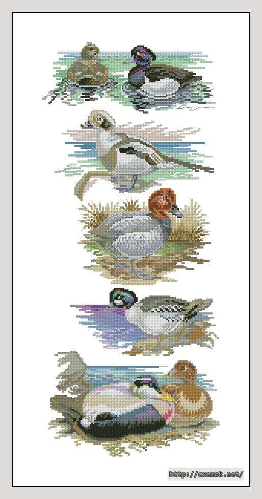 Download embroidery patterns by cross-stitch  - Ducks, author 