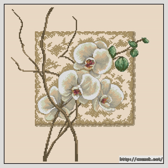 Скачать схемы вышивки нитками / крестом  - Oriental orchids, автор 