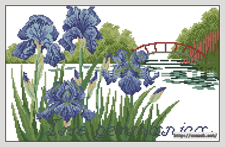 Download embroidery patterns by cross-stitch  - Iris germanica, author 