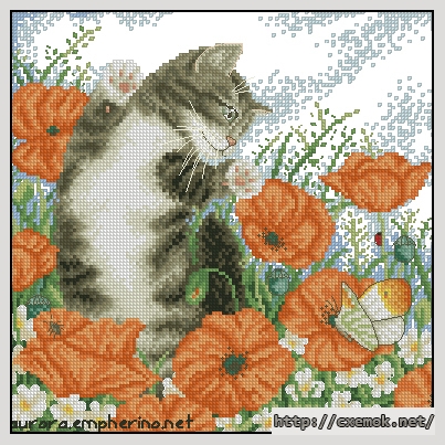 Скачать схему вышивки нитками Poppy cat, автор 