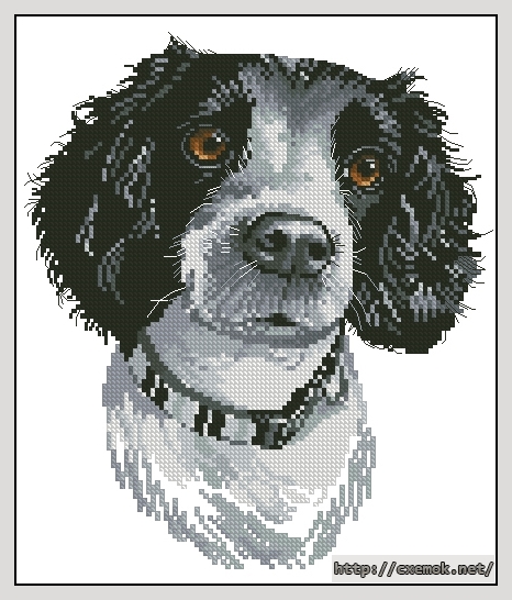 Download embroidery patterns by cross-stitch  - Jake, author 