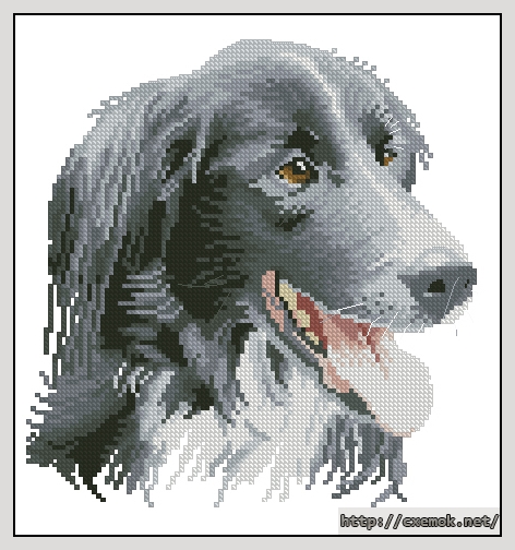Download embroidery patterns by cross-stitch  - Todd, author 