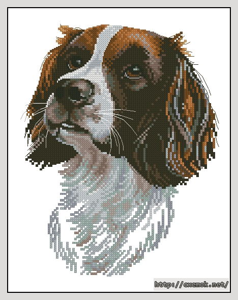 Download embroidery patterns by cross-stitch  - Samuel, author 