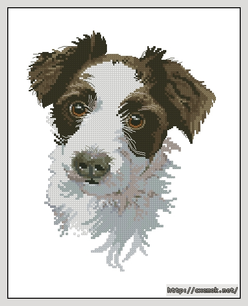 Download embroidery patterns by cross-stitch  - Scruff, author 