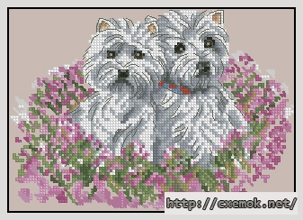 Скачать схему вышивки нитками West Highland White Terrier fragm, автор 