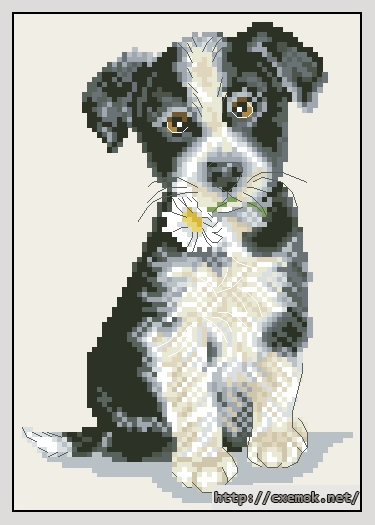 Download embroidery patterns by cross-stitch  - Border kolie, author 