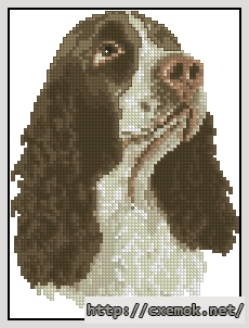 Download embroidery patterns by cross-stitch  - Springer spaniel