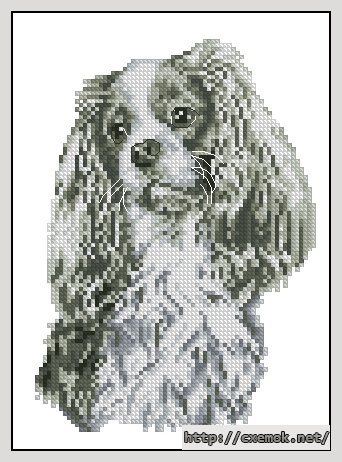 Download embroidery patterns by cross-stitch  - Cavalier king charles spaniel, author 