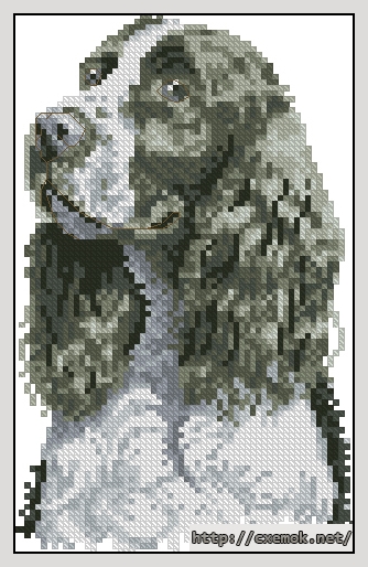 Download embroidery patterns by cross-stitch  - Springer spaniel, author 