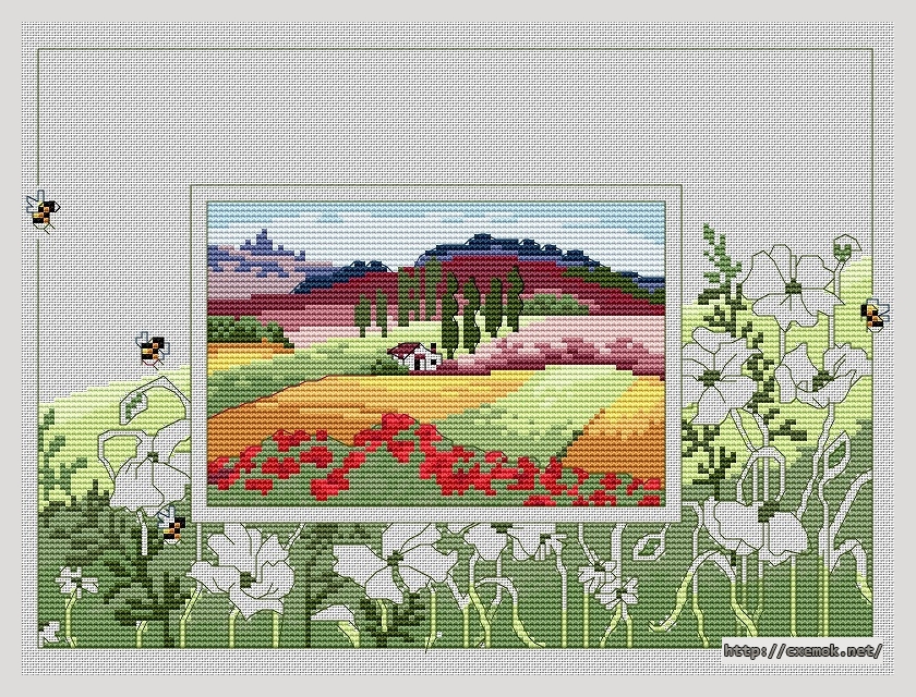 Download embroidery patterns by cross-stitch  - Toscana poppy, author 