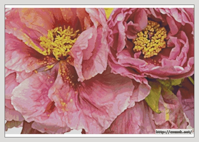 Download embroidery patterns by cross-stitch  - Poppies ii, author 